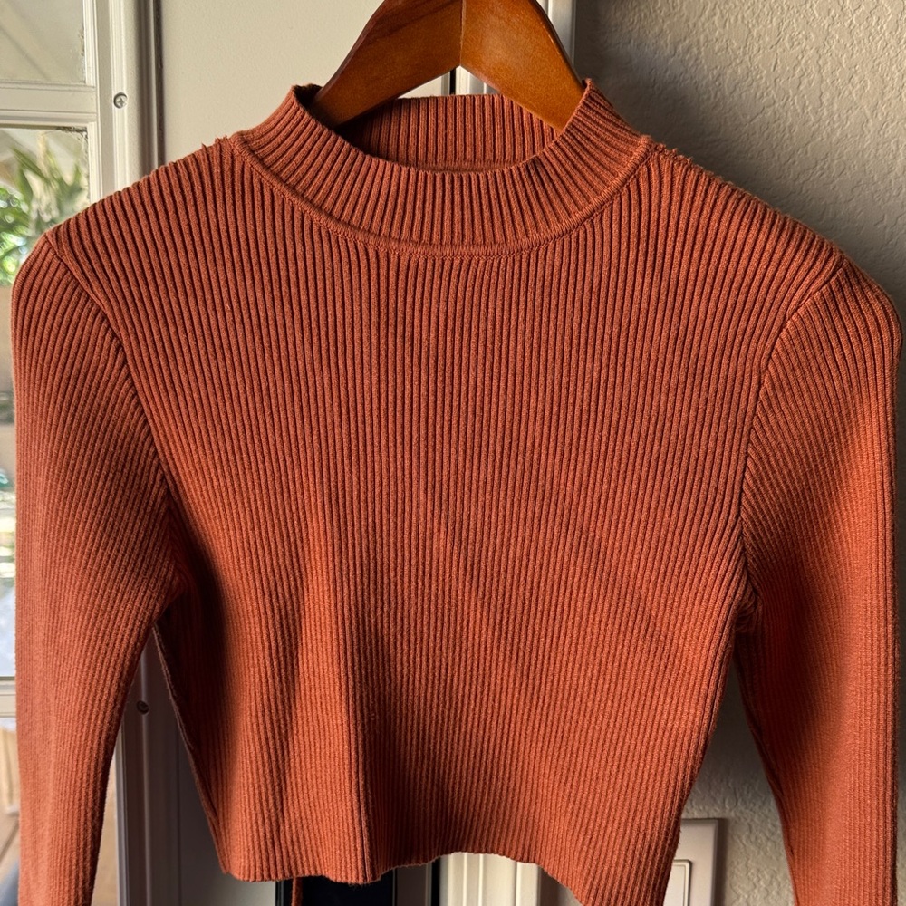 Beige Botany Long Sleeve Crop Top